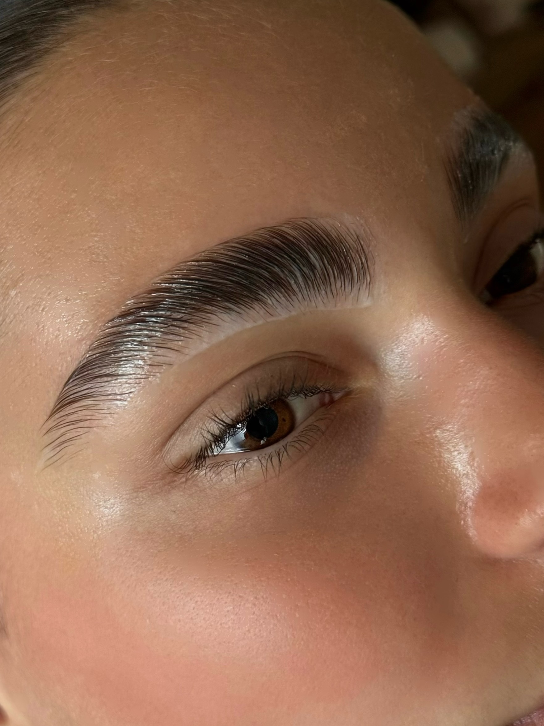 Ajrini LUMINA lift (eyelashes with color)